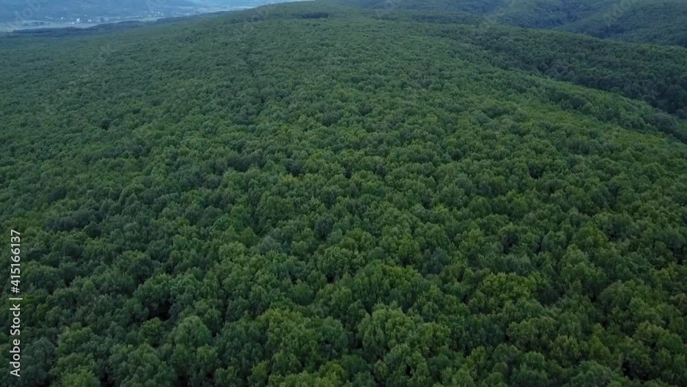 Beautiful forest landscape with green trees from above aerial video Beautiful forest landscape with green trees from above aerial video