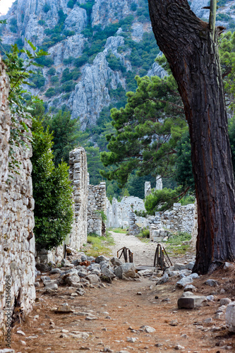 Beautiful landscape of stone walls, old wooden bridge, an old tree trunk and rocky mountain in ancient city of Olympos, Olympus (Lycia) Antalya, Turkey. Selective fcous. photo