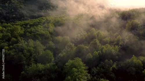 Breathtaking aerial landscape above a green forest with fog after rain in summer