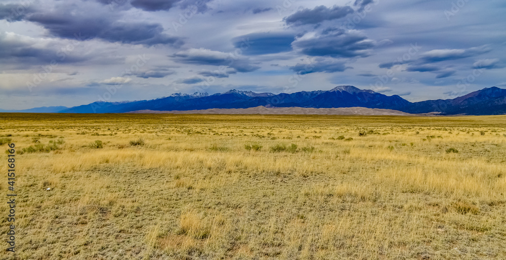 Yellow Prairie from Desert Plants, Great Sand Dunes National Park with mountains in the background, Colorado, US Yellow Prairie from Desert Plants, Great Sand Dunes National Park with mountains in the background, Colorado, US