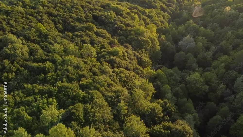 Beautiful forest landscape in spring season in natural light aerial footage Beautiful forest landscape in spring season in natural light aerial footage