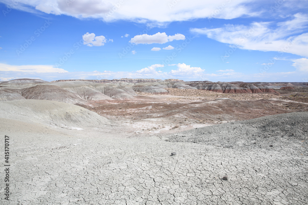 Petrified Forest National Park in Arizona, USA Petrified Forest National Park in Arizona, USA