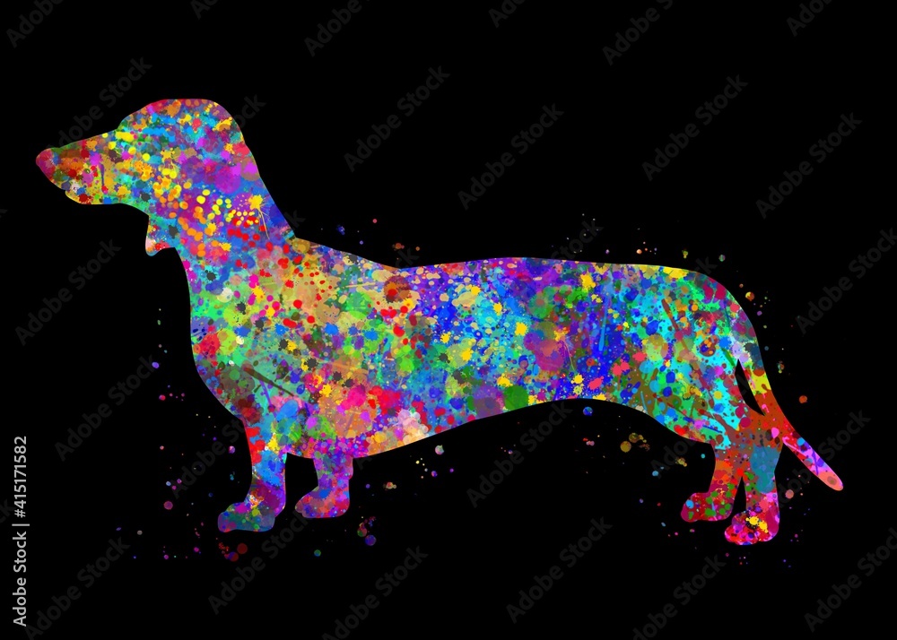 Dachshund Dog watercolor abstract painting. Watercolor