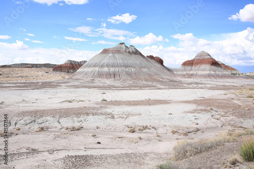 Petrified Forest National Park in Arizona  USA