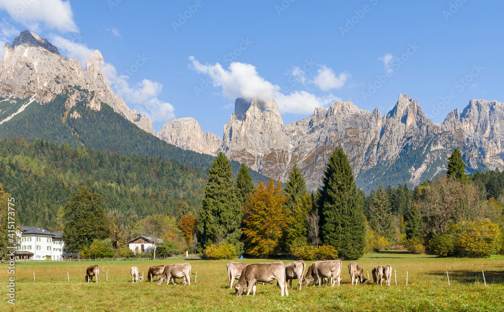 Valle del Canali in the mountain range Pale di San Martino, part of UNESCO World Heritage Site Dolomites, in the dolomites of the Primiero, Italy.