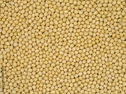 gold soybean background 