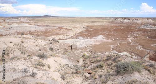 Petrified Forest National Park in Arizona, USA