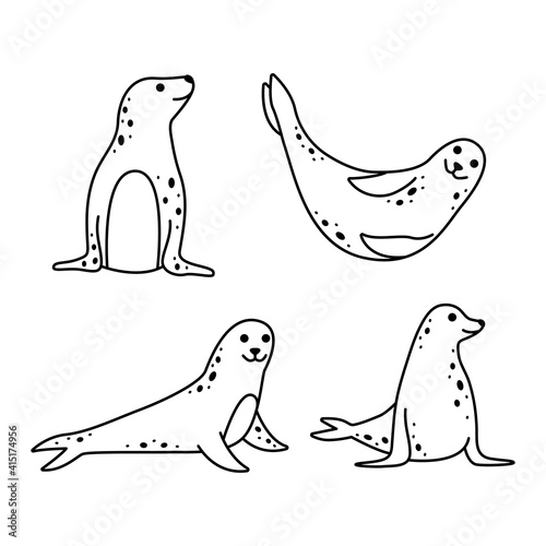 Vector set of sea seals. Marine animals. Line art and simple style