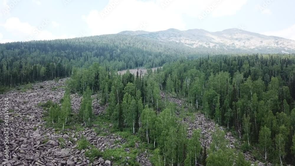 Aerial view of large stone river impressive natural formation. Kurumnik - miracle of nature, uniform accumulation of huge rocky fragments, drone shooting.