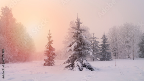 Sunset in winter forest © tommitt