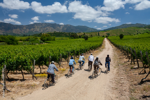 Vineyards in the Colchagua Valley - Chile photo