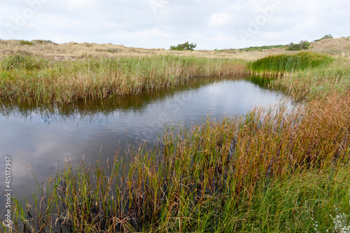 Landschap op Vlieland, Landscape at Vlieland