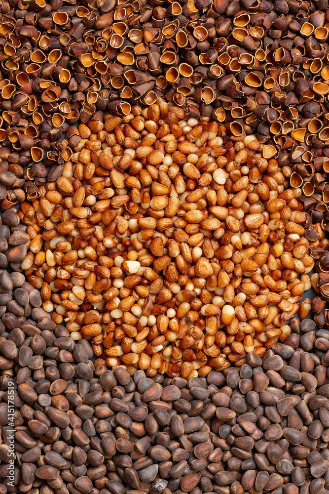 Background from Siberian pine nuts. A circle of peeled kernels.