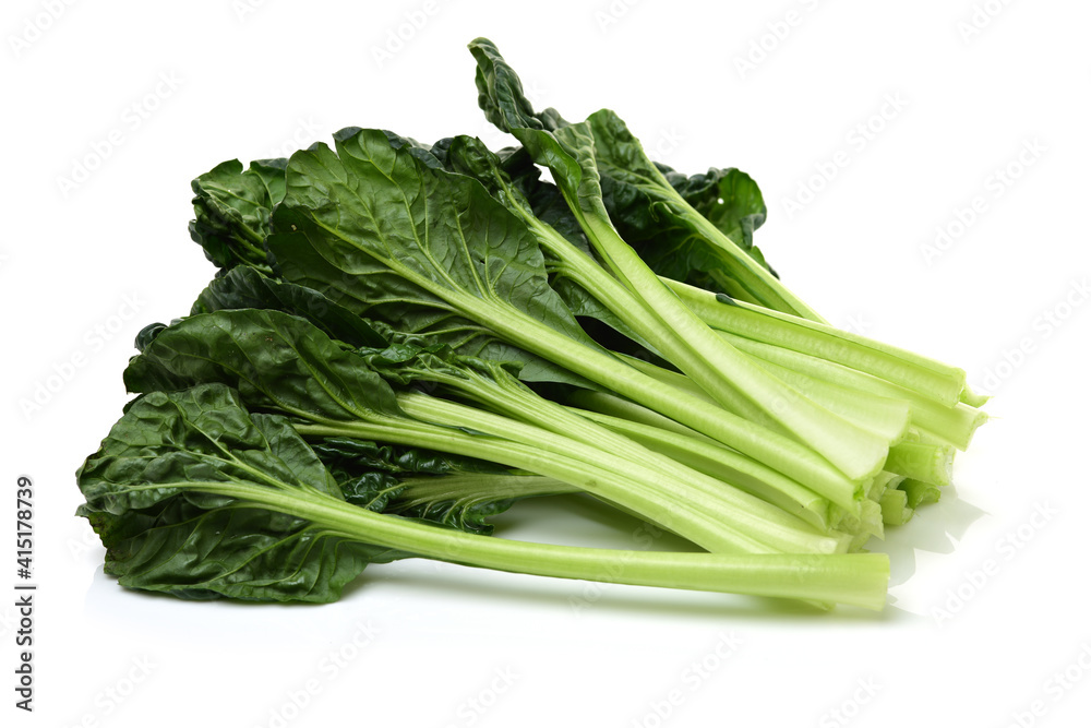 Fresh harvested Tah Tsai lettuce isolated on white. Tah Tsai or (Tatsoi) a commly used green leaf vegetable in Chinese and oriental dishes.