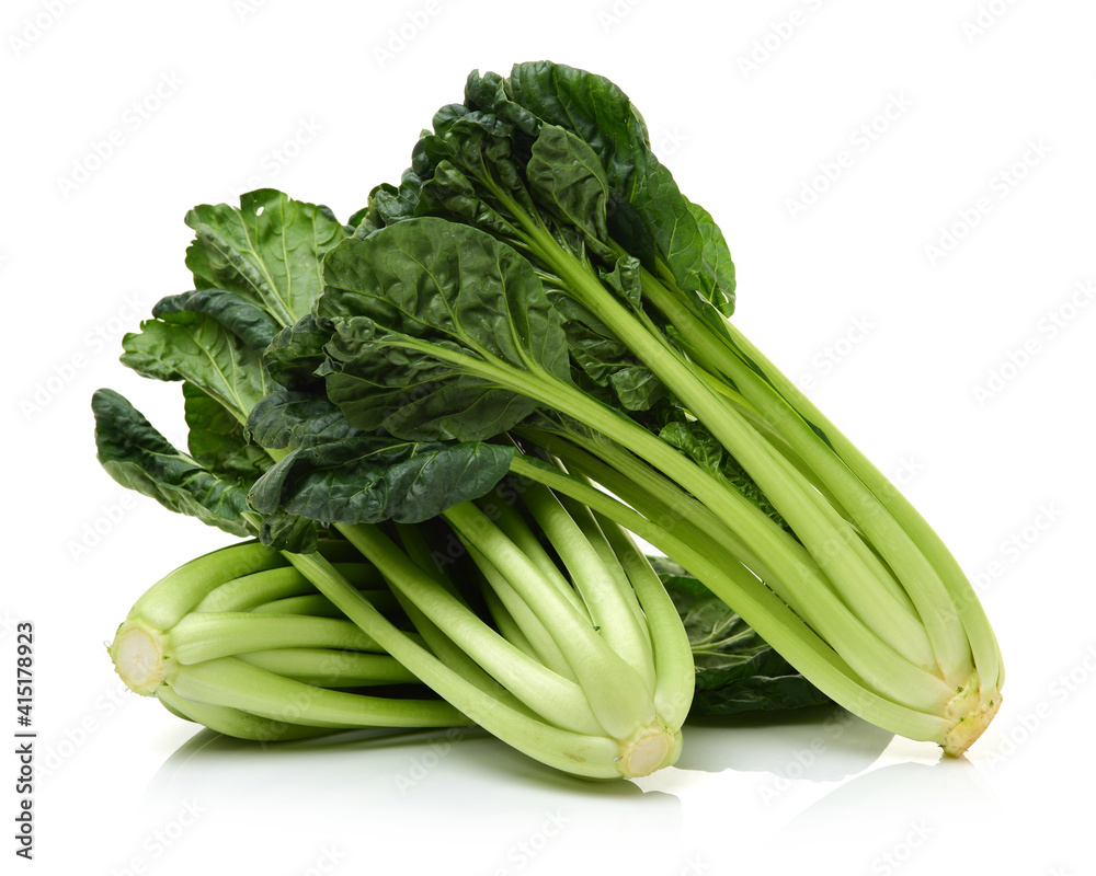 Fresh harvested Tah Tsai lettuce isolated on white. Tah Tsai or (Tatsoi) a commly used green leaf vegetable in Chinese and oriental dishes. Fresh harvested Tah Tsai lettuce isolated on white. Tah Tsai or (Tatsoi) a commly used green leaf vegetable in Chinese and oriental dishes.