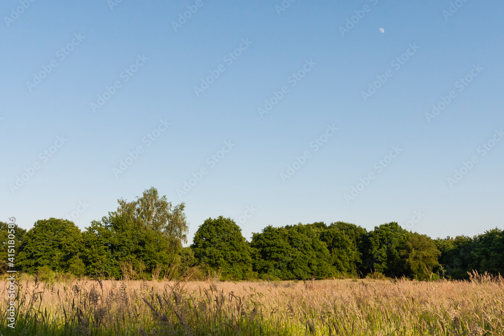 Obraz premium De Meinweg, Limburg, De Meinweg, Netherlands