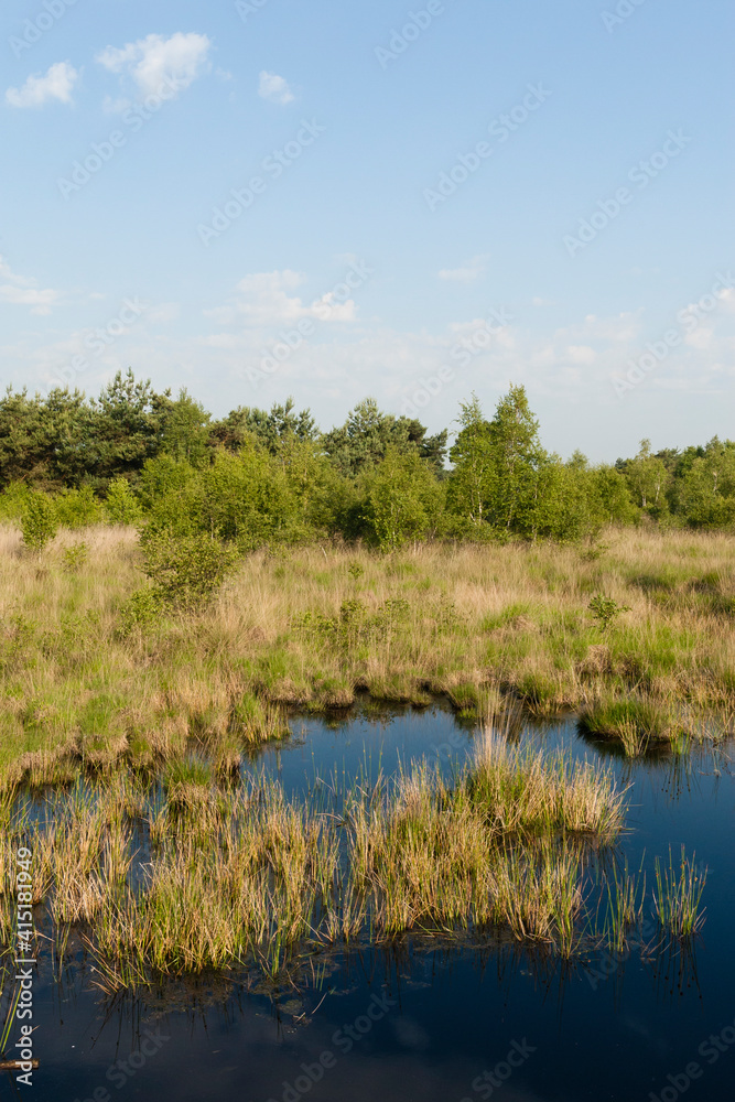 Nationaal Park De Groote Peel, National Park Groote Peel Nationaal Park De Groote Peel, National Park Groote Peel