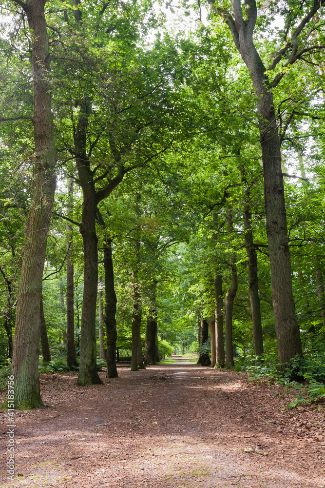 Oisterwijkse Bossen en Vennen, Oisterwijk Forests and Fens Oisterwijkse Bossen en Vennen, Oisterwijk Forests and Fens