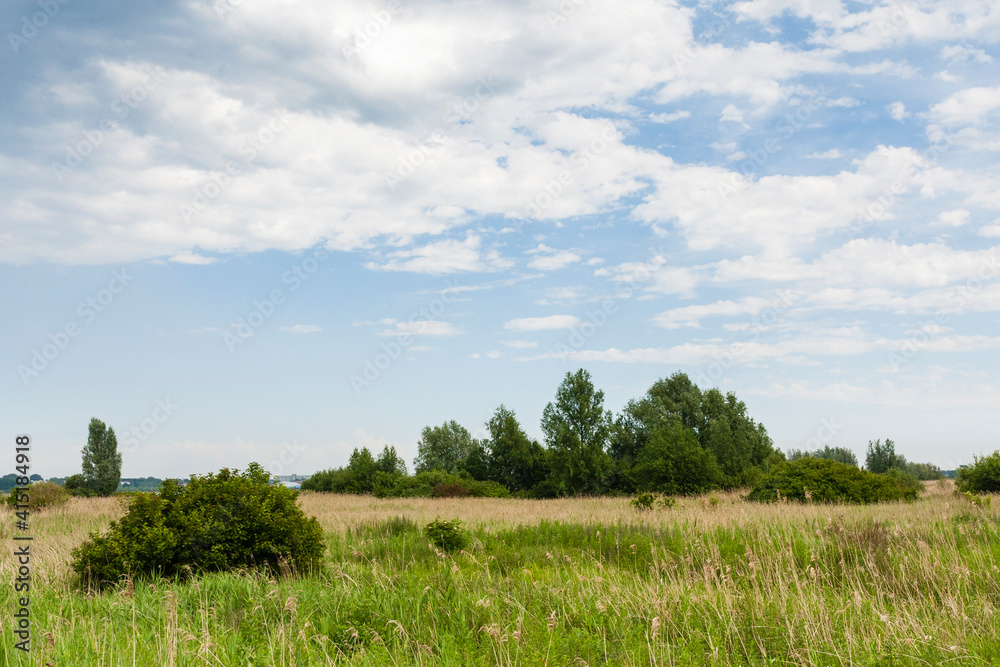Landscape at Markiezaat