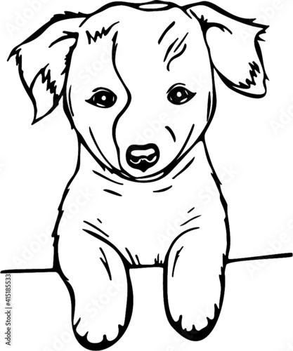 Dog with flower, Dog, Puppy sılhouette, Bulldog, Dog lover, Animal, Pet