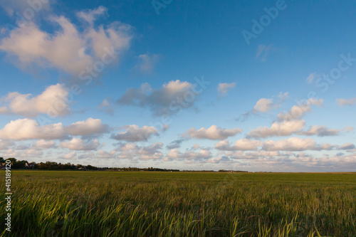 Grasland, grassland