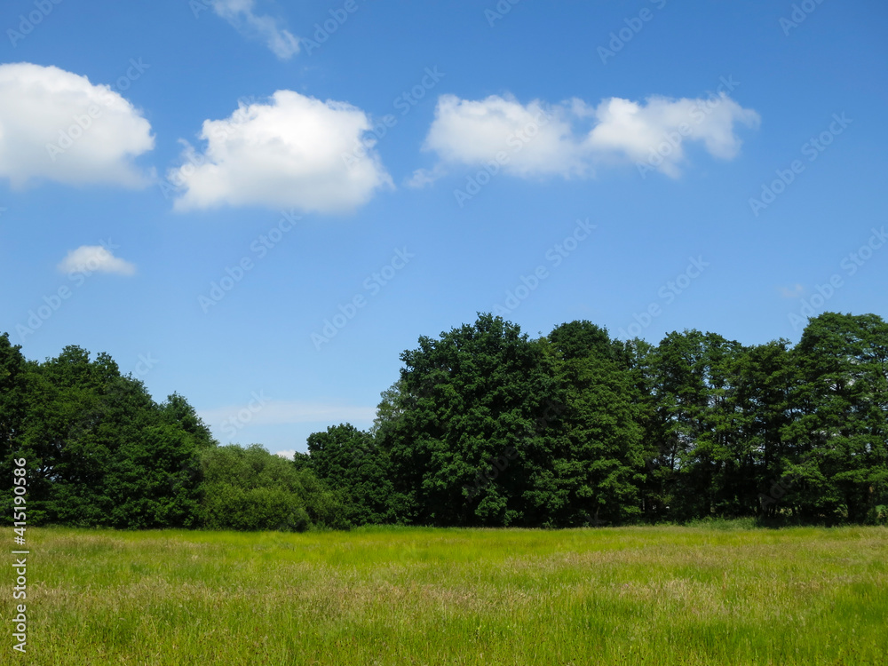 Landscape at De Bruuk