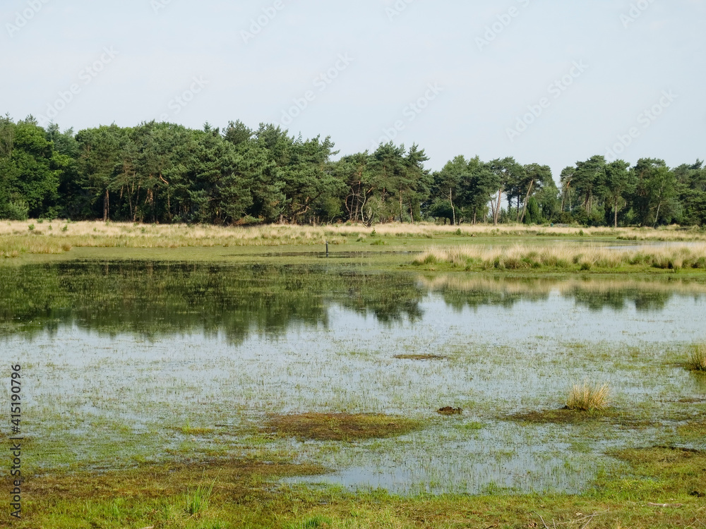 Landschap van Strabrechtse Heide, Landscape at Strabrechtse Heide