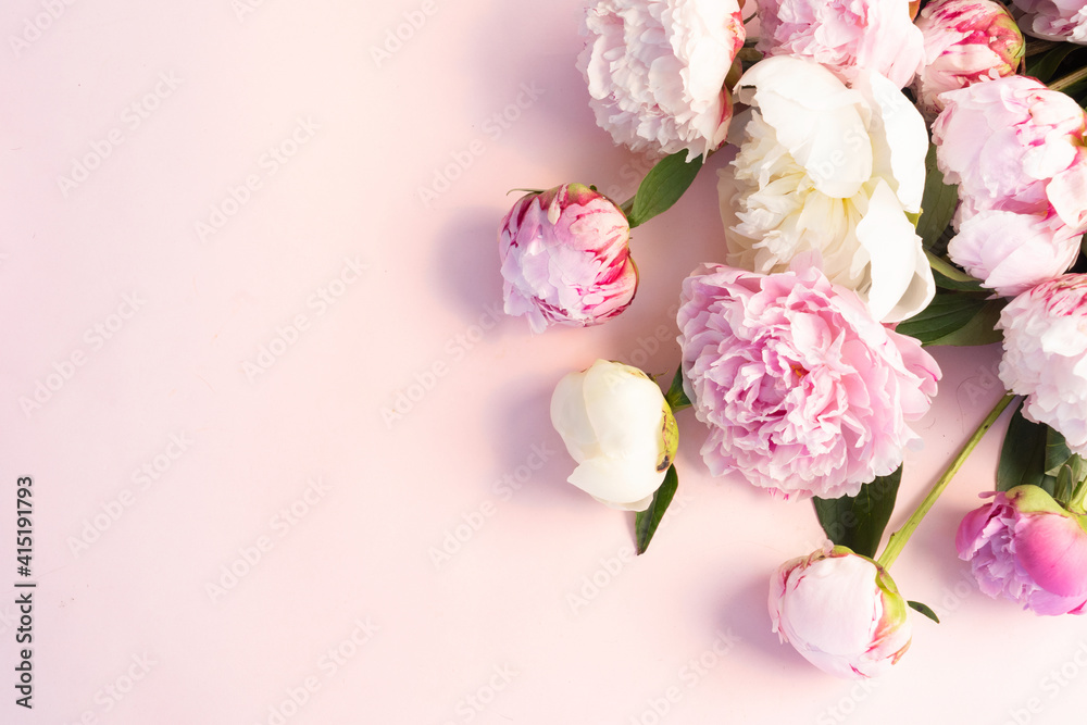 Naklejka premium Fresh peony flowers