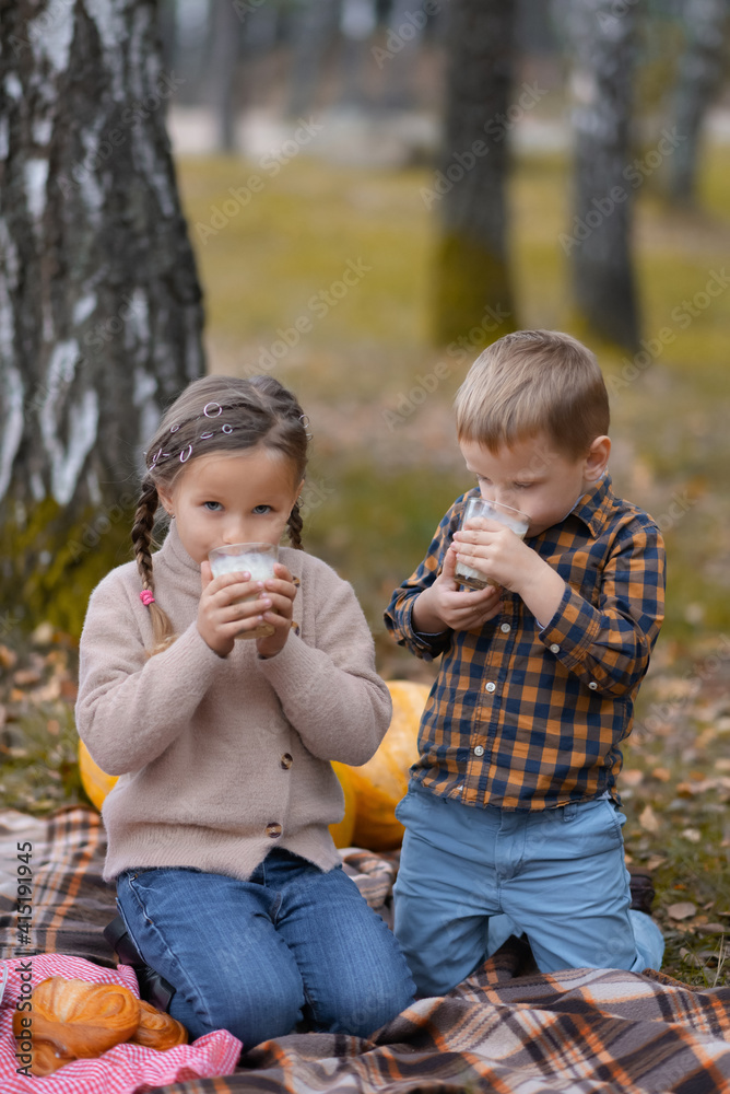 Autumn picnic in the park. Brother and sister are sitting on the plaid and drinking milk. Fallen leaves on the ground. Autumn picnic in the park. Brother and sister are sitting on the plaid and drinking milk. Fallen leaves on the ground.