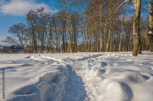 Sunny day in the frosty forest in the winter season. Landscape with forest and perfect sunlight with snow and clean sky. Beatuful contrast of snow shapes and shadows © zyoma_1986