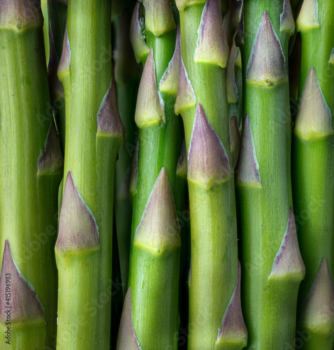 Macro view of asparagus stalks (Asparagus officinalis)..