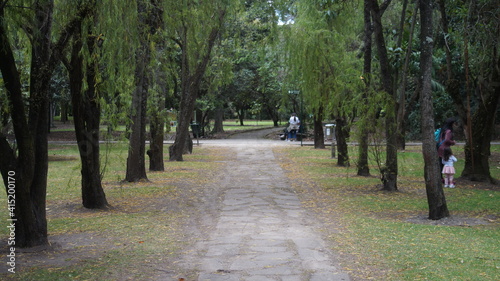 road in the park