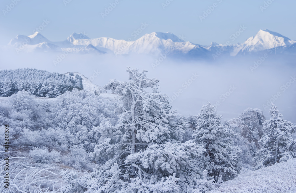 mountain chain cowered by a snow in a mist and dense clouds, winter travel background
