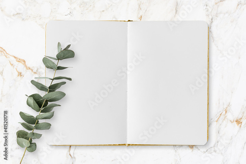 Boho Lifestyle - offenes Notizbuch, leere Seiten, Eukalytpus Zweig, Marmor Hintergrund - minimalistisches , modernes Konzept