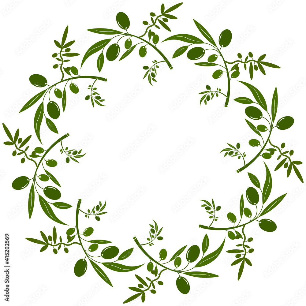 Olive wreath with berries and leaves. Hand drawn floral vector border with olive fruit and tree branches with leaves isolated on a white background. For designs, print and fabrics