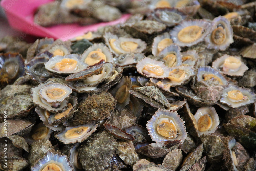 Fresh limpets at the fish market Fresh limpets at the fish market