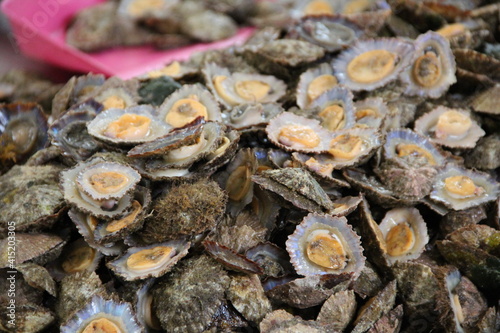 Fresh limpets at the fish market