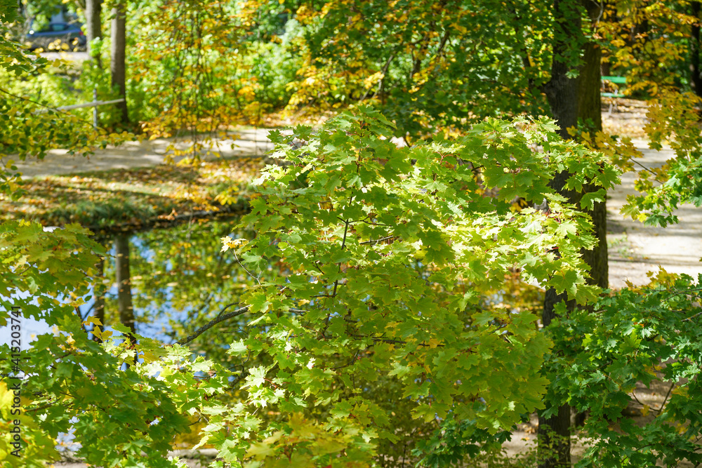 Landscape shots in the Bavarian Forest in Bavaria in daylight Landscape shots in the Bavarian Forest in Bavaria in daylight