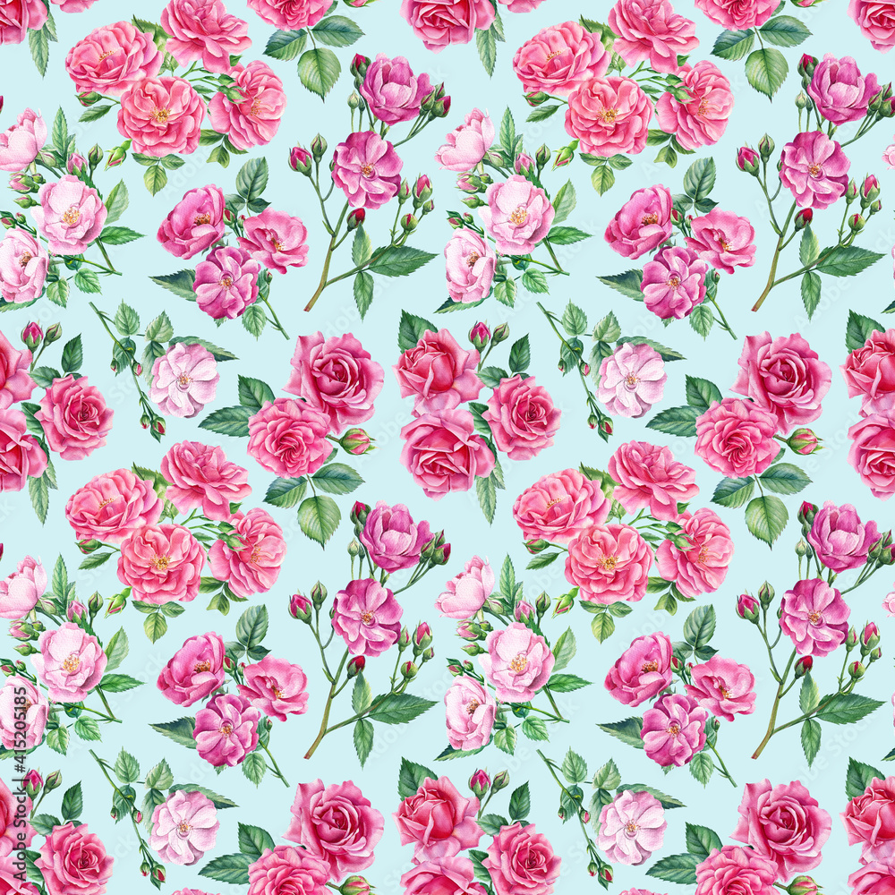 Pink roses, buds and leaves on a white background, watercolor painting. Seamless patterns