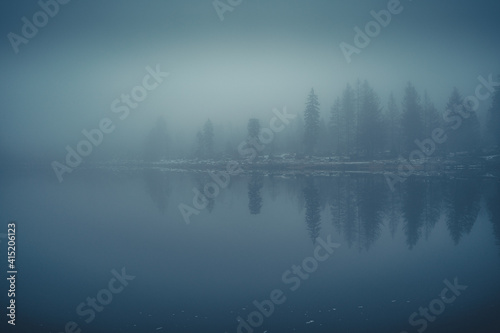 Nebel am Oderteich