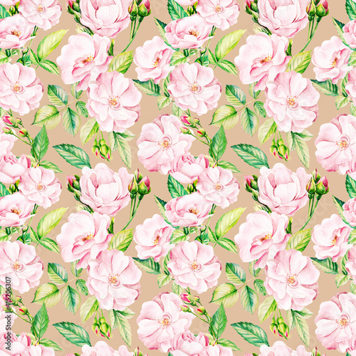 Pink roses, buds and leaves on a white background, watercolor painting. Seamless patterns