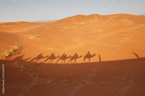Shadows of camel caravan in Sahara desert  visible in the sand  Morocco