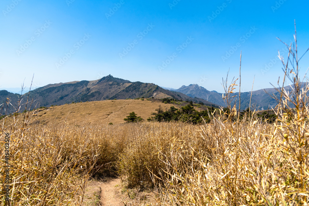 Fototapeta premium Qinling Mountain