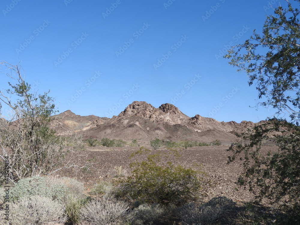 The beautiful desert scenery of the Picacho State Recreation Area in Imperial County, California. 