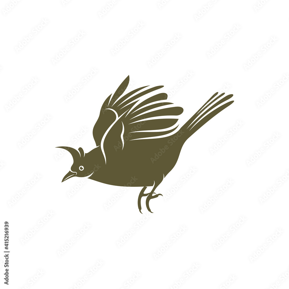 Obraz premium Himalayan Bulbul bird design vector illustration, Creative Himalayan Bulbul bird logo design concepts template, icon symbol