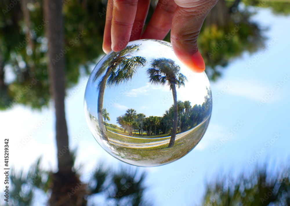 Palm trees and landscape captured through a lens ball near Fort Desoto Park, St Petersburg, Florida, U.S.A