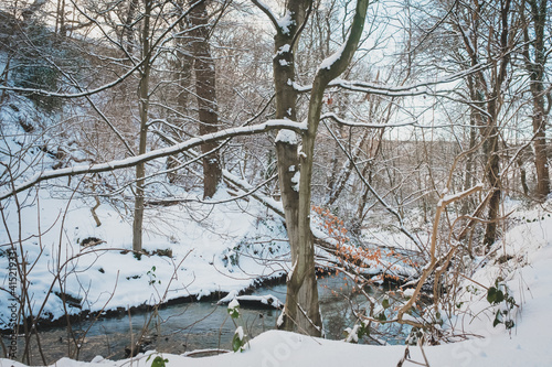 Throckley Dene (woodlands) in west Newcastle after heavy snowfall photo