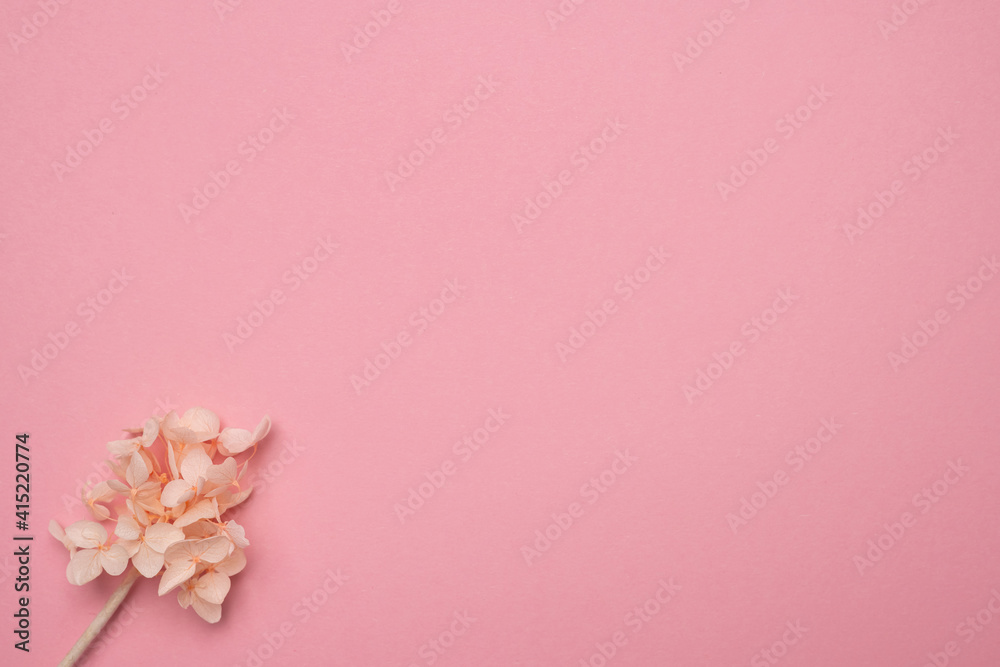 Dry delicate flowers on a pink paper background with an empty copy space in the center of the image