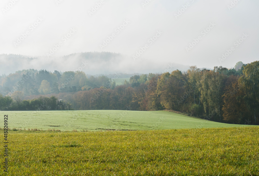 Fototapeta premium Green meadow and fields with thick fog against the background of the deciduous forest horizon. Rural moody misty landscape. Autumn morning