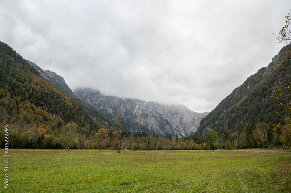 Calm autumn landscape of meadow surrounded with mountain forest.